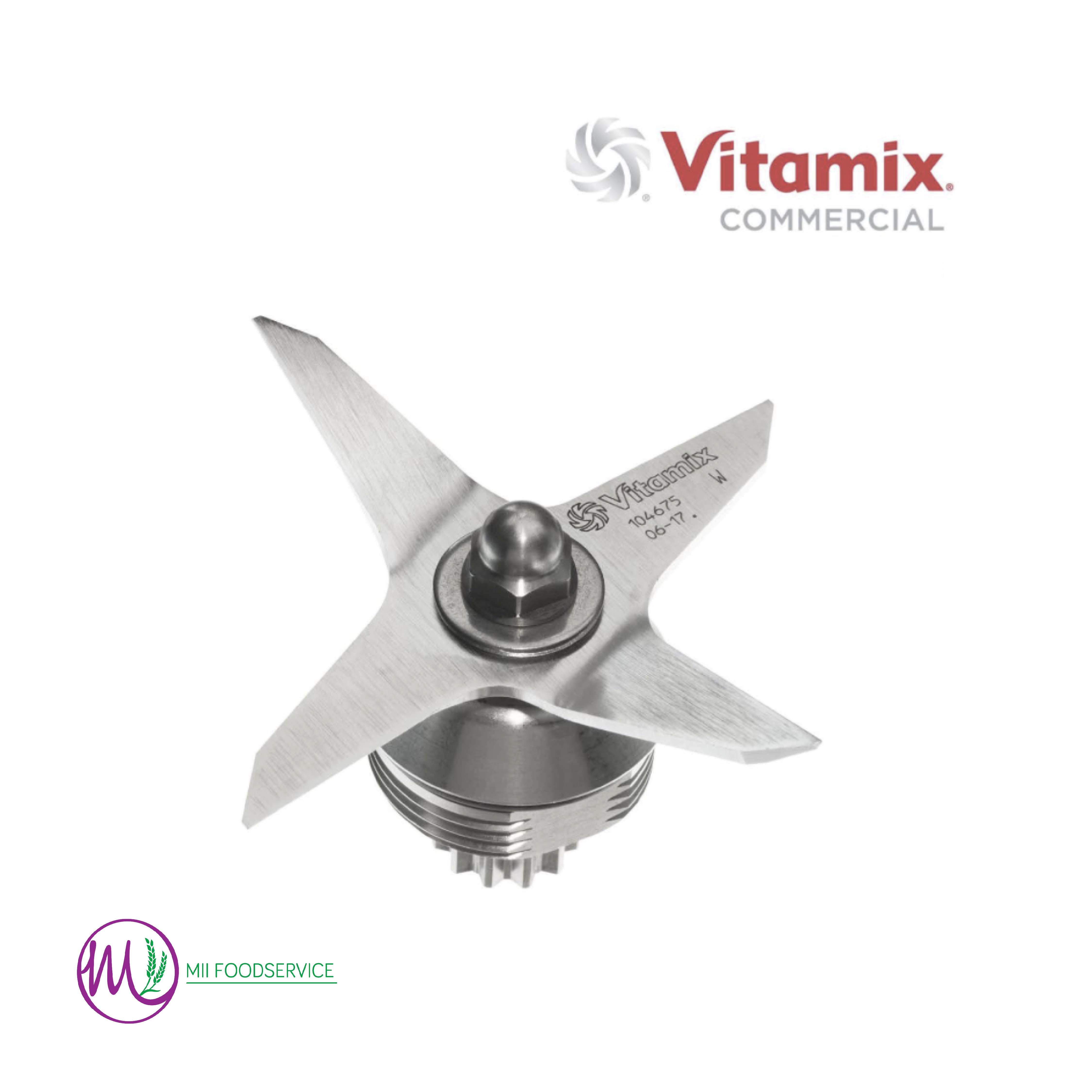vitamix dry blades