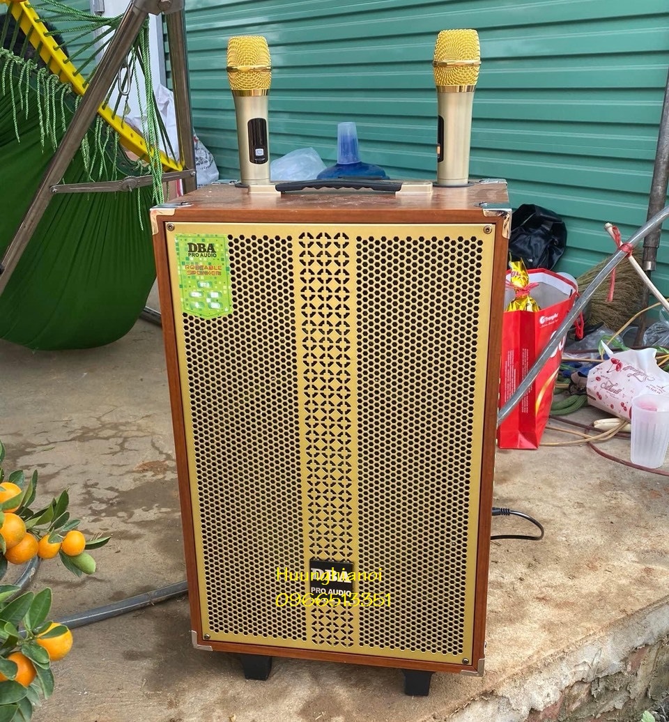 Loa kéo di động công suất lớn, loa karaoke di động hát hhay - loa karaoke giá rẻ thùng gỗ tặng kèm 2 micro không dây hát cực hay, giá rẻ