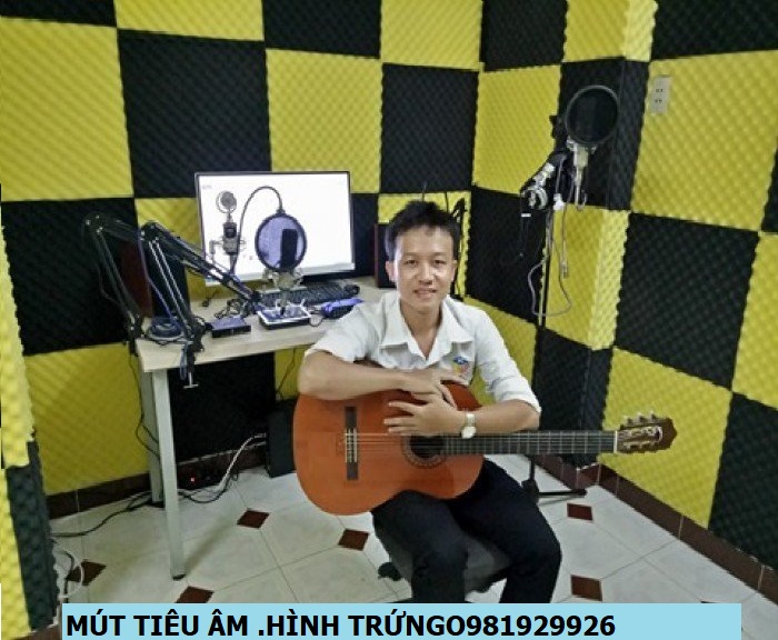 10 Tấm mút tiêu âm- Cách âm. hình trứng -Kích cỡ 50*50cm dày 3cm. call981929926 (Được chọn màu)