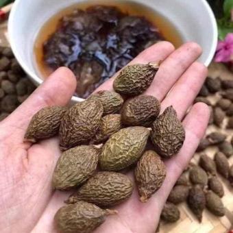 Hạt Ươi, Hạt Đười Ươi Bay Sẻ Loại Ngon 100g