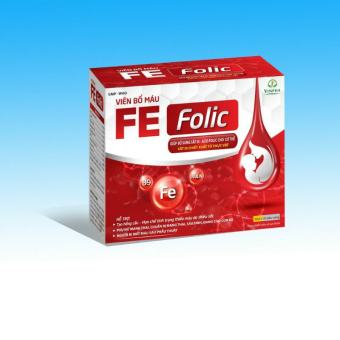 Viên bổ máu FE FOLIC - Giúp bổ sung sắt III, acid folic cho cơ thể - Hộp 100 viên