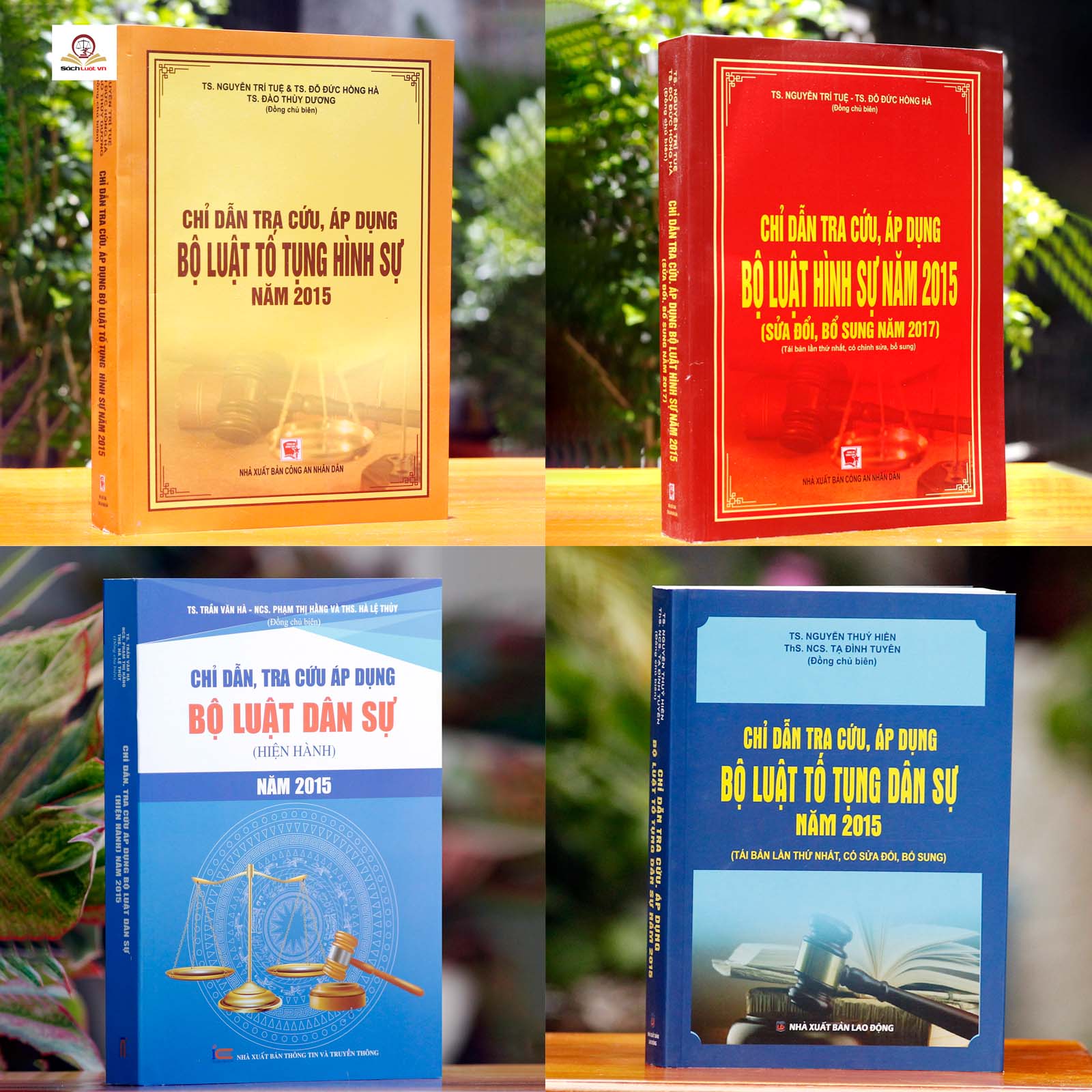Sách - Combo 4 cuốn sách chỉ dẫn áp dụng các Bộ luật hot hiện nay