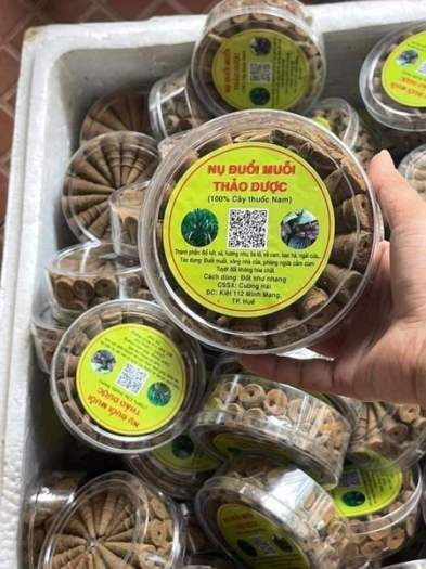 NỤ ĐUỔI MUỖI THẢO DƯỢC