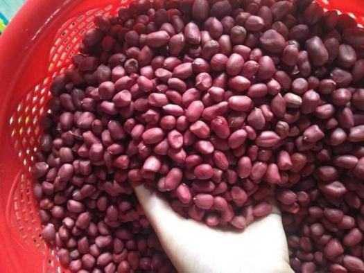 Tác dụng tuyệt vời của củ lạc có thể bạn chưa biết