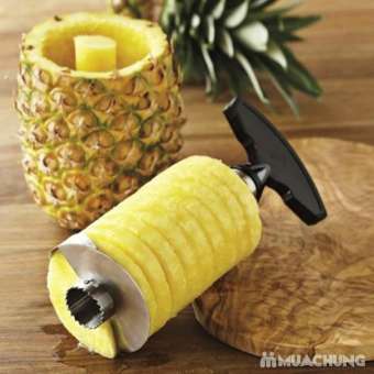 DỤNG CỤ GỌT DỨA SIÊU NHANH