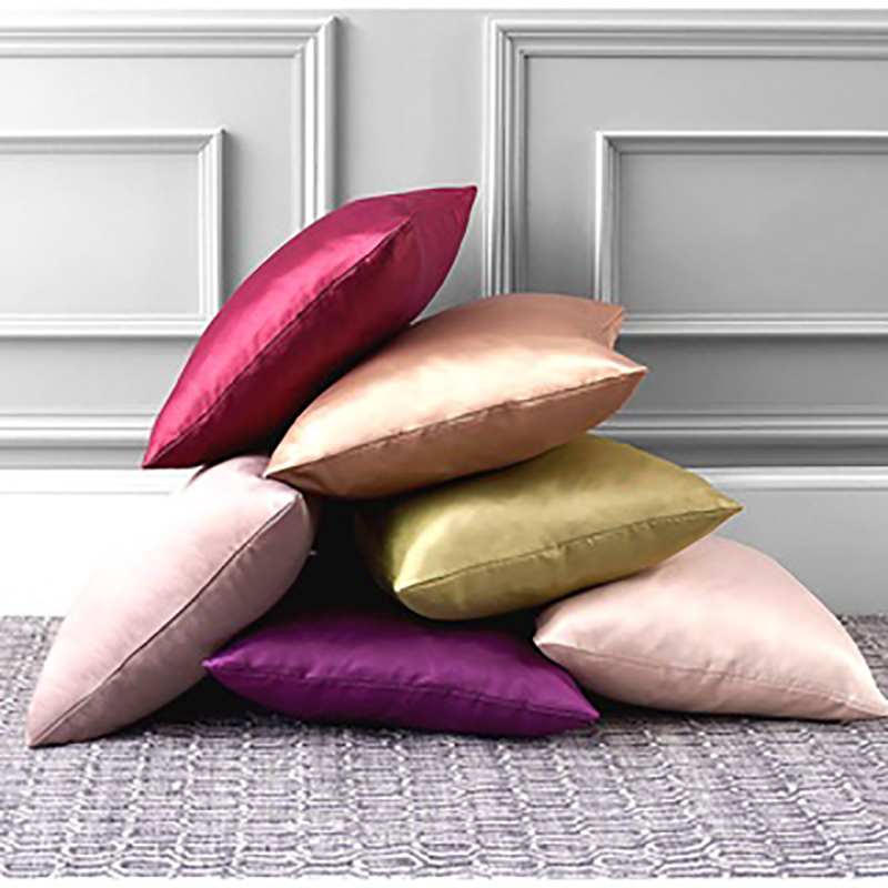 Blush Pink Sofa Cushions Baci Living Room