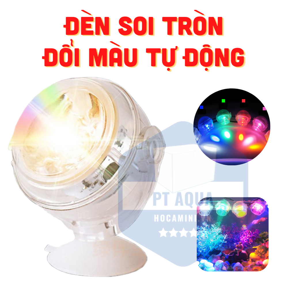 Đèn Tròn soi bể cá hiệu ứng đẹp các loại