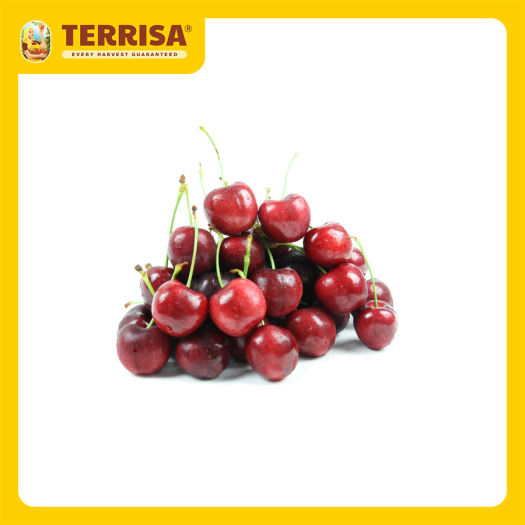 Cherry đỏ Mỹ size 10 (Hộp 500 g)  - TERRISA - Giao nhanh