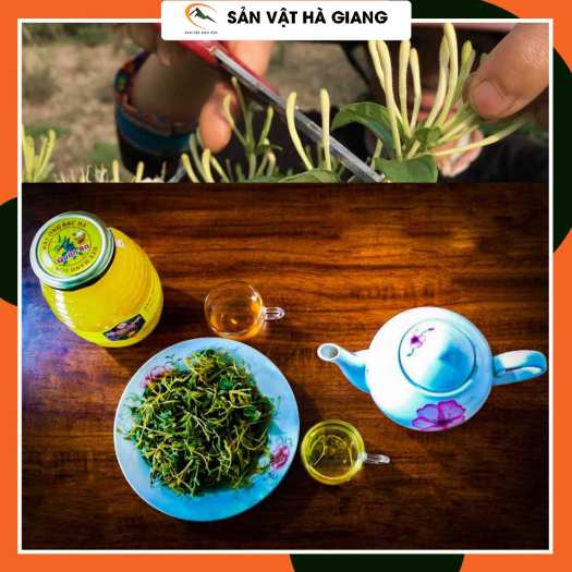 Trà Kim ngân hoa - Kháng sinh tự nhiên từ thực vật, giúp lợi tiểu và thải độc.