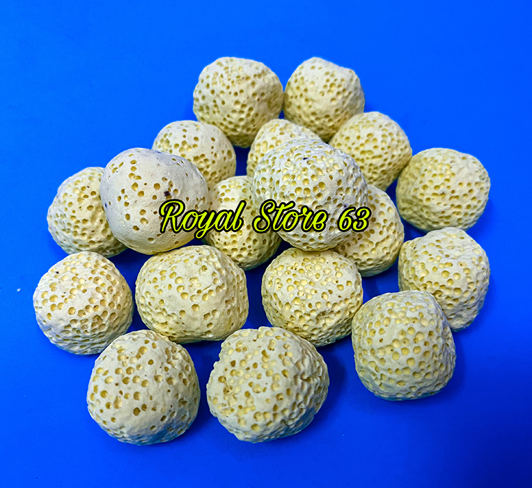 Sứ lọc vật liệu lọc cho bể cá cảnh