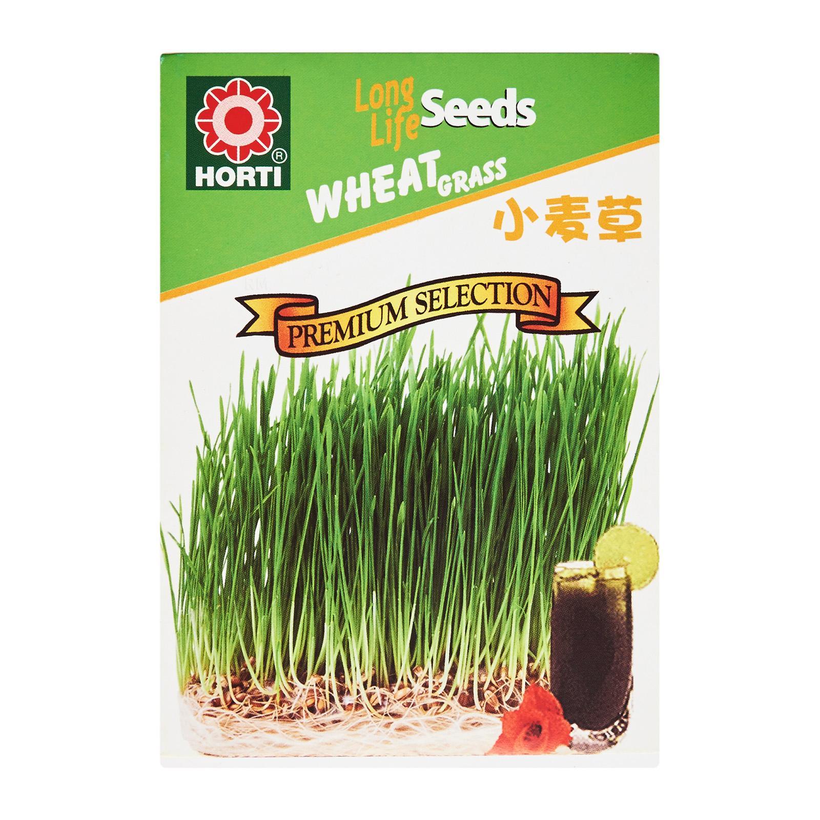 Horti Bermuda Couch Lawn Seed Buy Sell Online Plant Seeds And