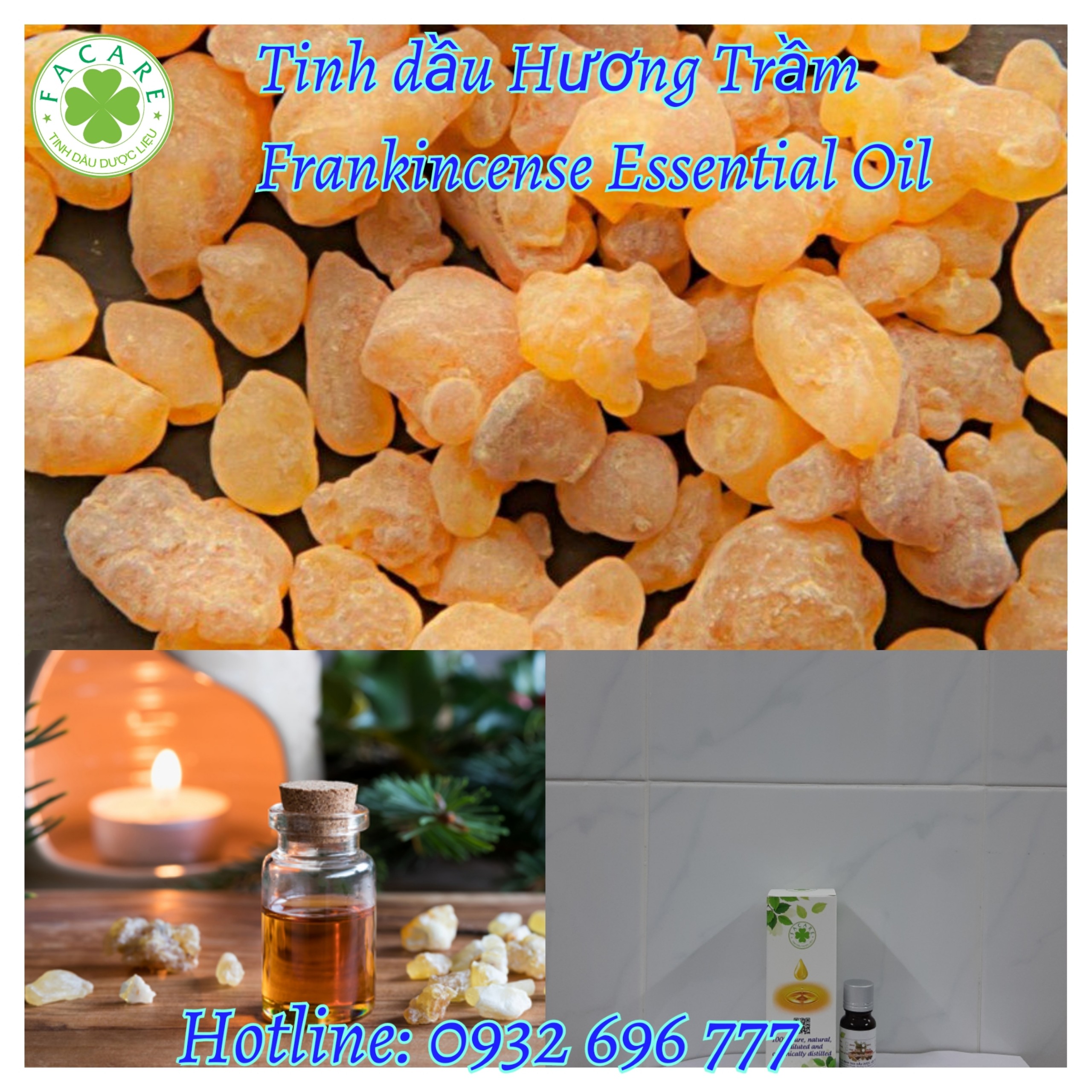 Tinh dầu Hương Trầm Frankincense essential oil giúp giảm lo âu, tái tạo da, kích thích tiêu hóa - 10ml