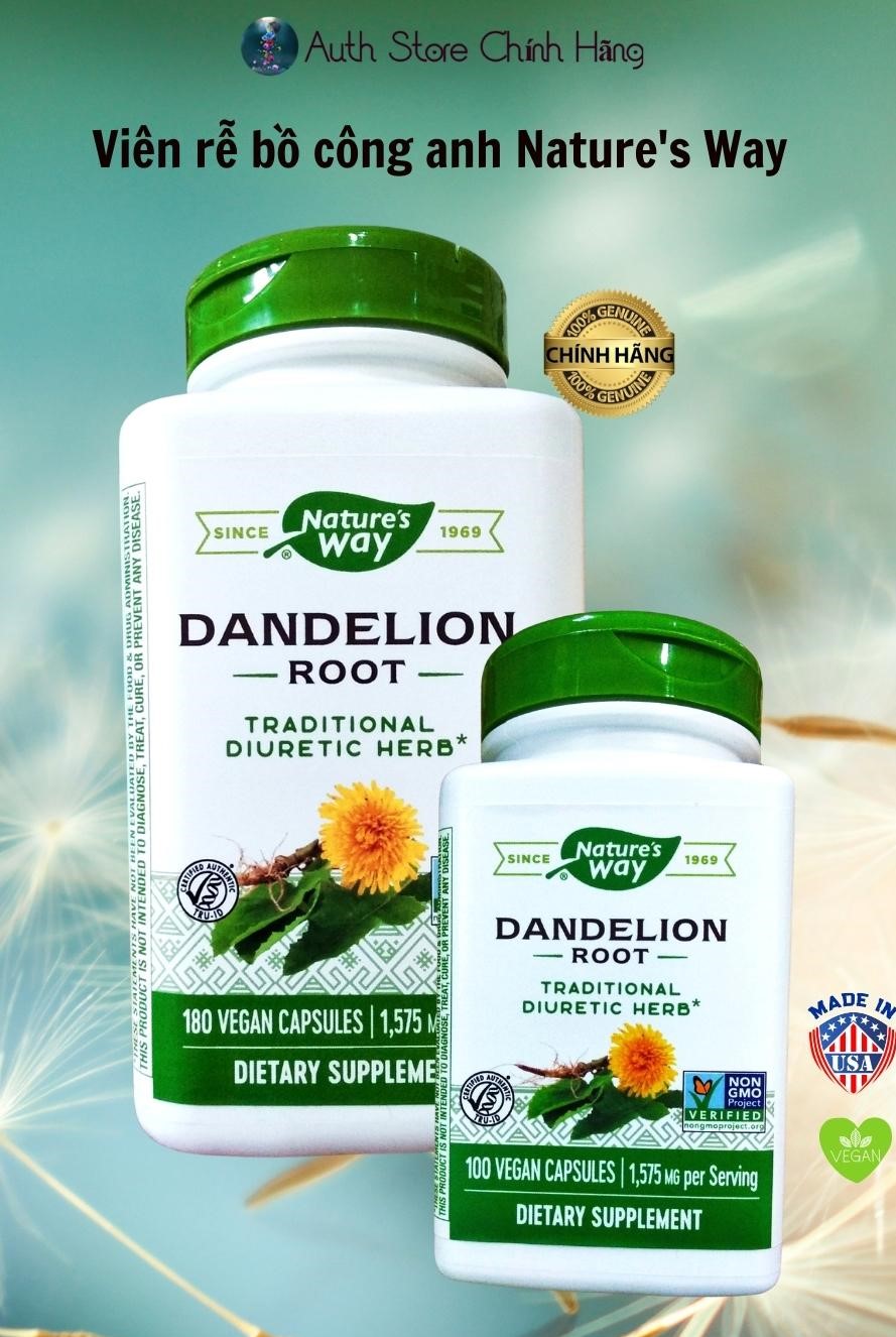 Rễ bồ công anh Dandelion Root Nature’s Way