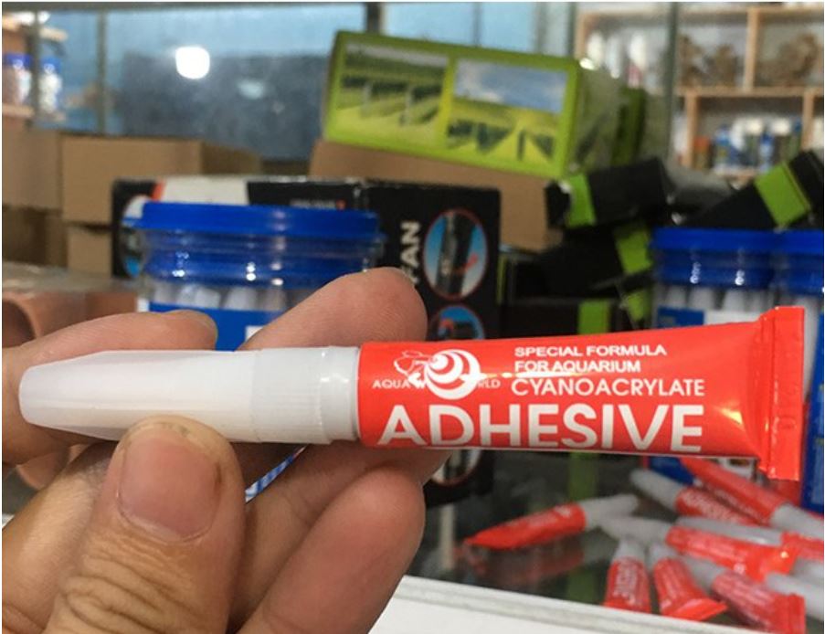 Keo dán cây thủy sinh adhesive