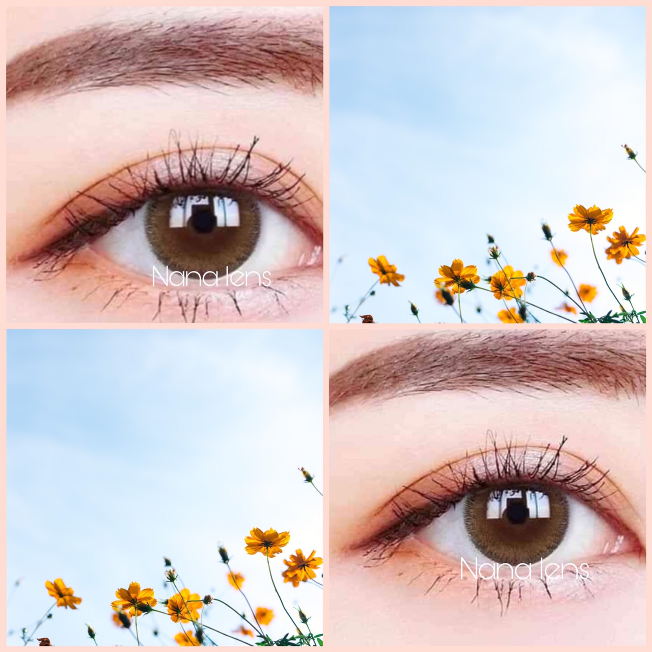 ( Mẫu siêu phẩm) Lens - kính áp tròng nâu Tây tự nhiên giãn nhỏ sử dụng 1 năm ( Có đủ độ cận từ 0 đến 6 độ) khách nhắn tin độ cận
