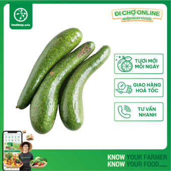 Bơ 034 Dẻo Béo, Loại 1, 2 - 4 Trái/Kg - Túi 1kg - Foodmap Fruit