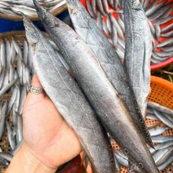 Khô cá chạch đồng 500g