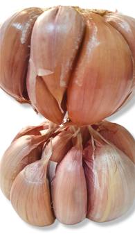 1 kg TỎI nâu đỏ củ to tép to chất lượng thơm ngon vị bùi