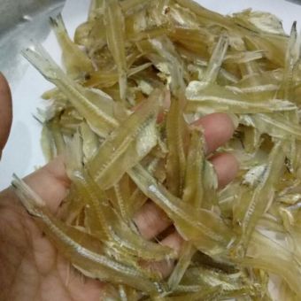 0.5 kg khô cá cơm làm thủ công biển Quất Lâm Nam Định