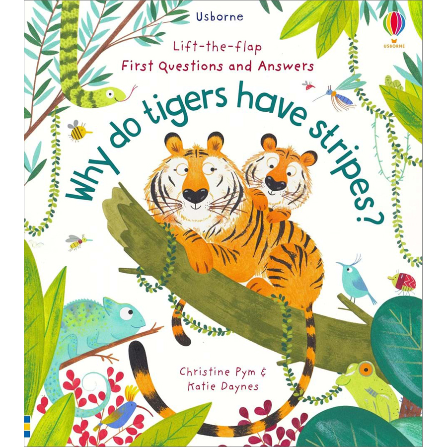 Sách tiếng Anh thiếu nhi Usborne Lift the flap First Question and Answers