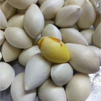 1Kg Bạch Quả Nguyên Vỏ Loại 1