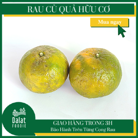 Cam Sành 1Kg - [Giao hàng ngay tại TPHCM]