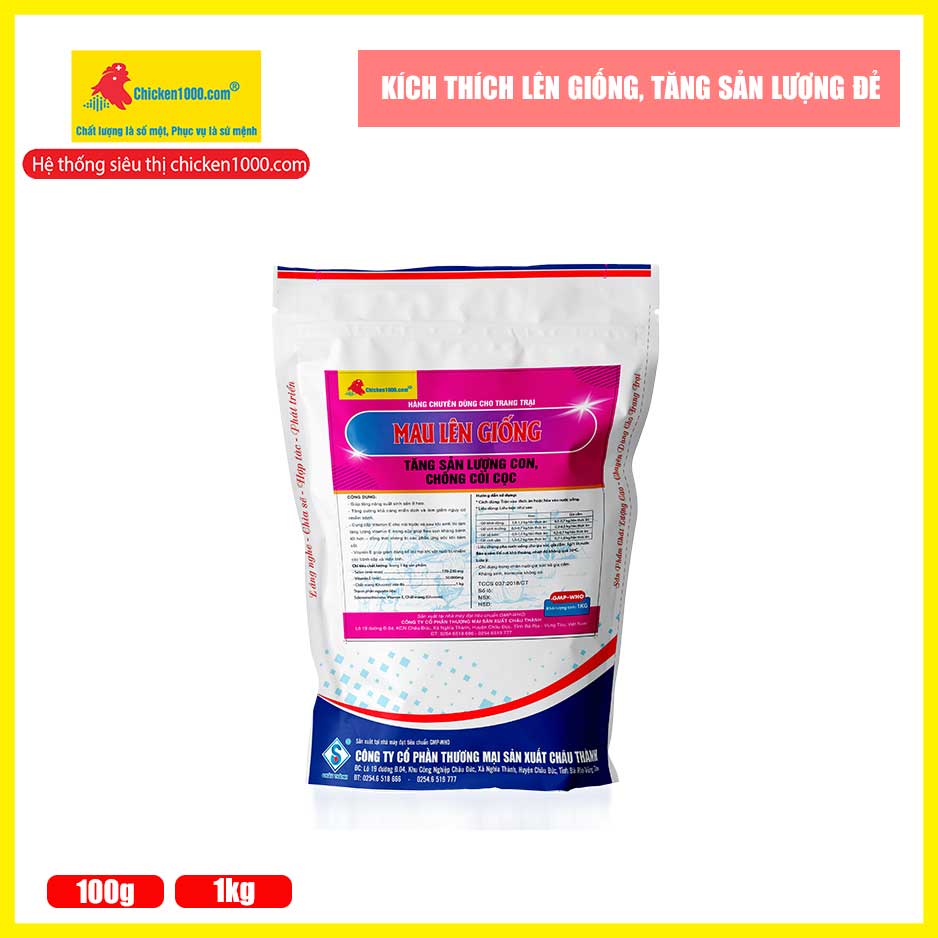 Thuốc thú y mau lên giống chicken1000 hỗ trợ lên giống nhanh trên gà, vịt, heo, dê, bò