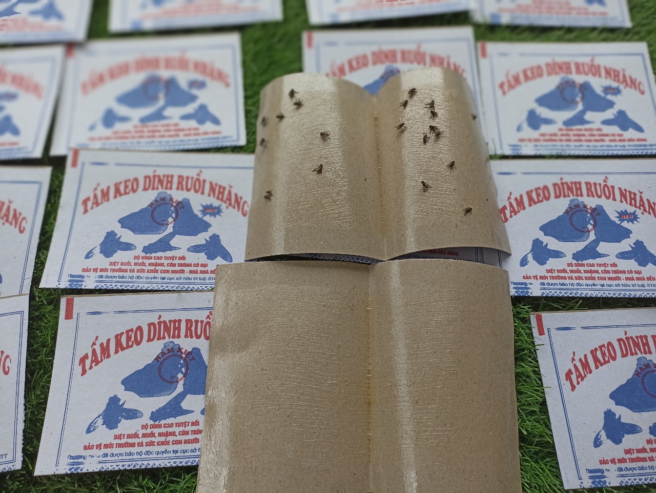 10 miếng keo dính ruồi nhặng Nam Kiệt