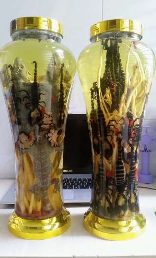 Bọ cạp ngâm bình 7L 30 con to