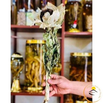 Thiên sơn tuyết liên hoa, hoa sen tuyết Tây Tạng khô (1 bông 25 - 30g). Hoa tuyết liên sơn giúp bồi bổ sinh lực, tăng cường khí huyết