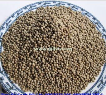 Hạt tiêu sọ cao cấp Phú Quốc 500gram