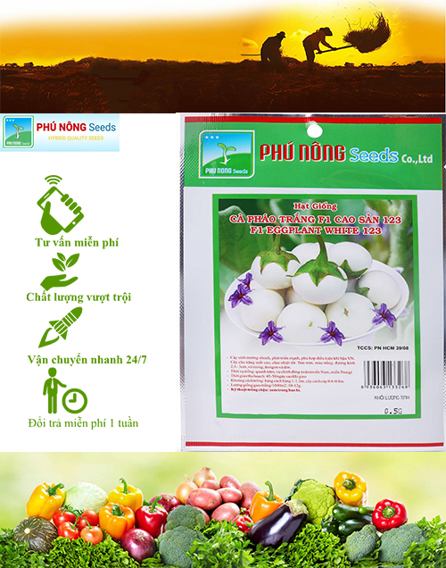 [HCM] Hạt giống Cà pháo trắng - Gói 0.5g
