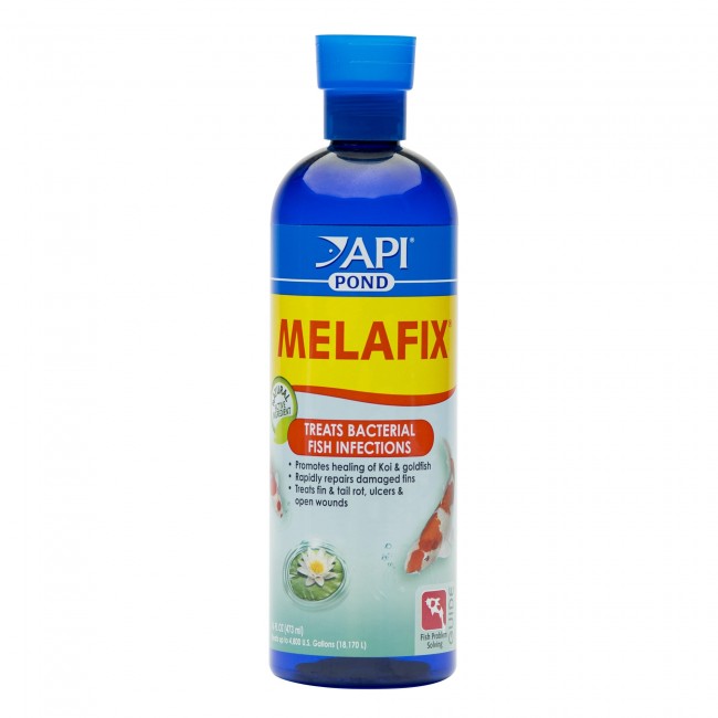 Api pond melafix | dung dịch xử lý nấm cho cá koi và các loại cá cảnh | 473ml