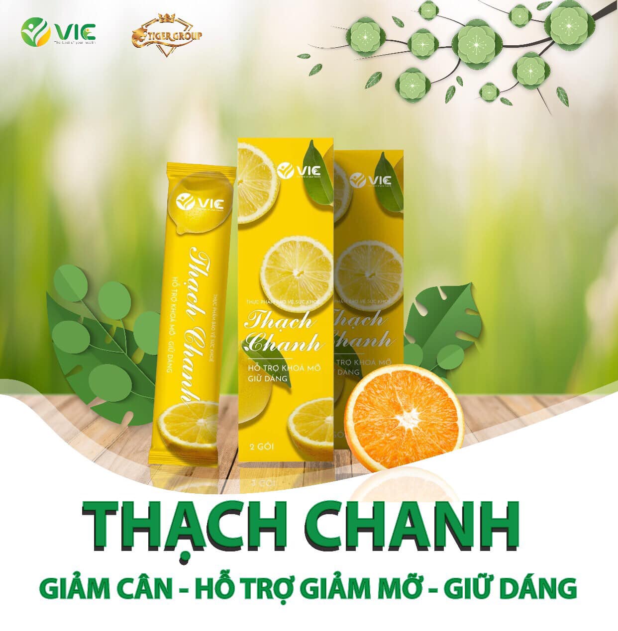 Thạch Chanh Vic hỗ trợ giảm mỡ giảm cân giữ dáng tự nhiên - Set 5 hộp 10 gói