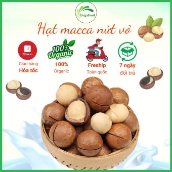 Hạt macca nứt vỏ Daklak organic 500g macca tươi size 25-28 mm tặng kèm đồ khui hạt Orgafood