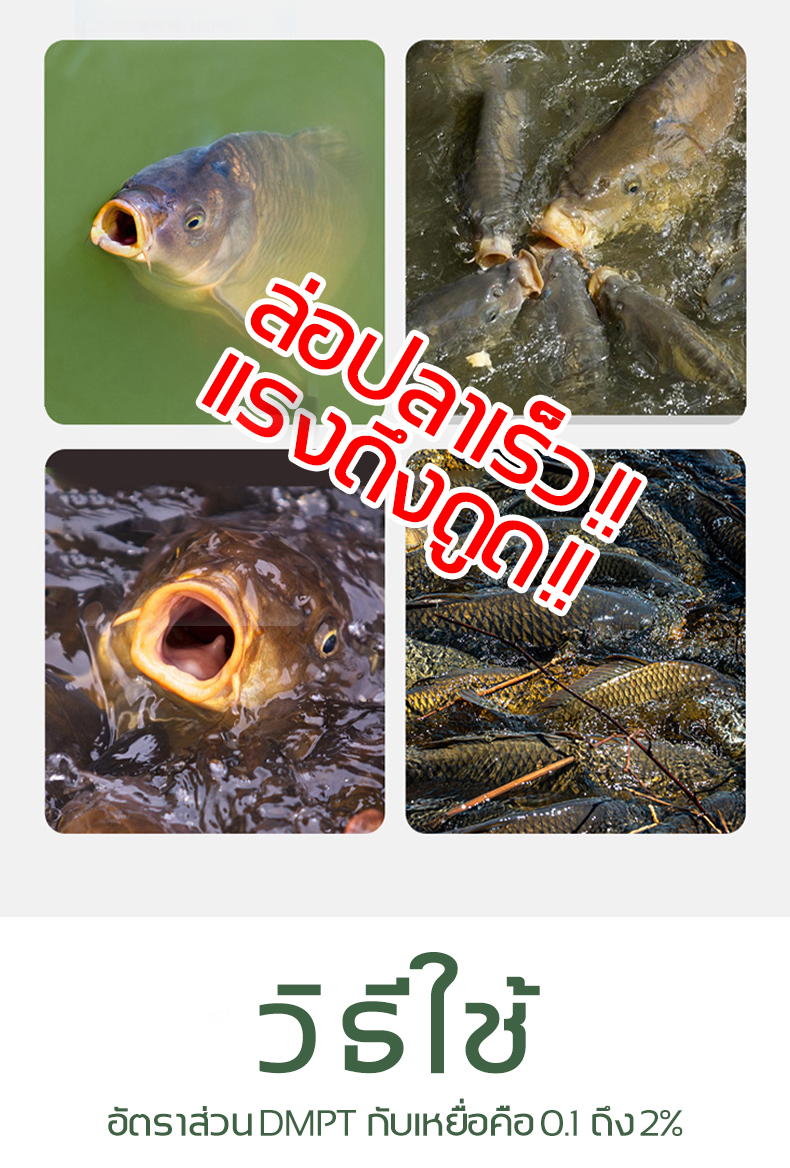 มุมมองเพิ่มเติมของสินค้า (Thai พร้อมส่ง) DMPT อาหารตกปลา ช่วยกระตุ้นให้ปลากิน ใช้ได้กับเหยื่อทุกชนิด หัวเชื้อตกปลา เหยื่อตกปลา เหยื่อตกปลา รวม หัวเชื้อตกปลาสวาย สารเร่งปลากินเหยื่อ หัวเชื้อเหยื่อตกปลา เหยื่อปลานิล ฟีโรโมนตกปลา หัวเชื้อสวาย ผงดึงดูดปลา ไผ่เขียวตกปลา