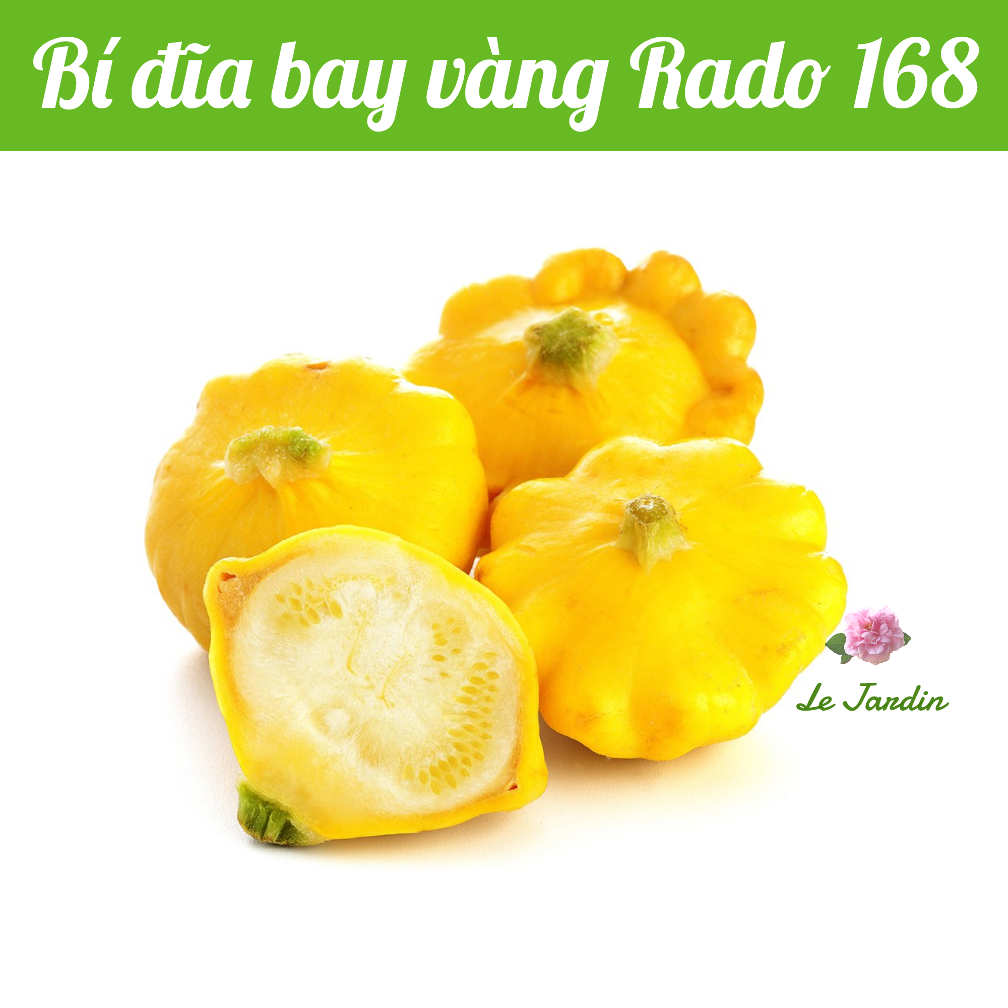 Hạt giống bí ngòi đĩa bay vàng Rado 168 gói 1gr
