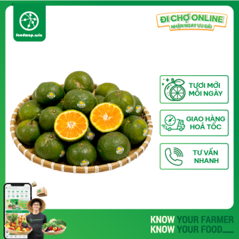 HCM - [CAM VẮT NƯỚC] Giao nhanh 4H - Cam Sành Vĩnh Long Canh Tác An Toàn, Vàng Ngọt - Foodmap Fruit