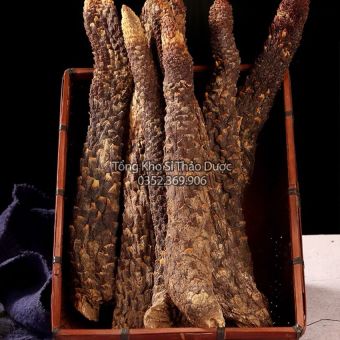 Nhục Thung Dung 1kg (Hàng Loại 1, To, Thơm)