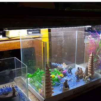 Đèn Led hồ bể cá cảnh 1m2 - 1m5 chống nước, dài 118.5cm 21WCAIBAO T4-120LED ( Trắng)