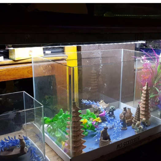 Đèn Led bể cá 1m - 1.2m CAIBAO T4-100LED công suất 18W, dài 98.5cm, chống nước , ánh sáng trắng đẹp cao cấp.