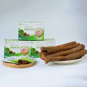 Củ gai tươi & Trà củ gai HUCO an thai - Thảo Dược Duy Hưng