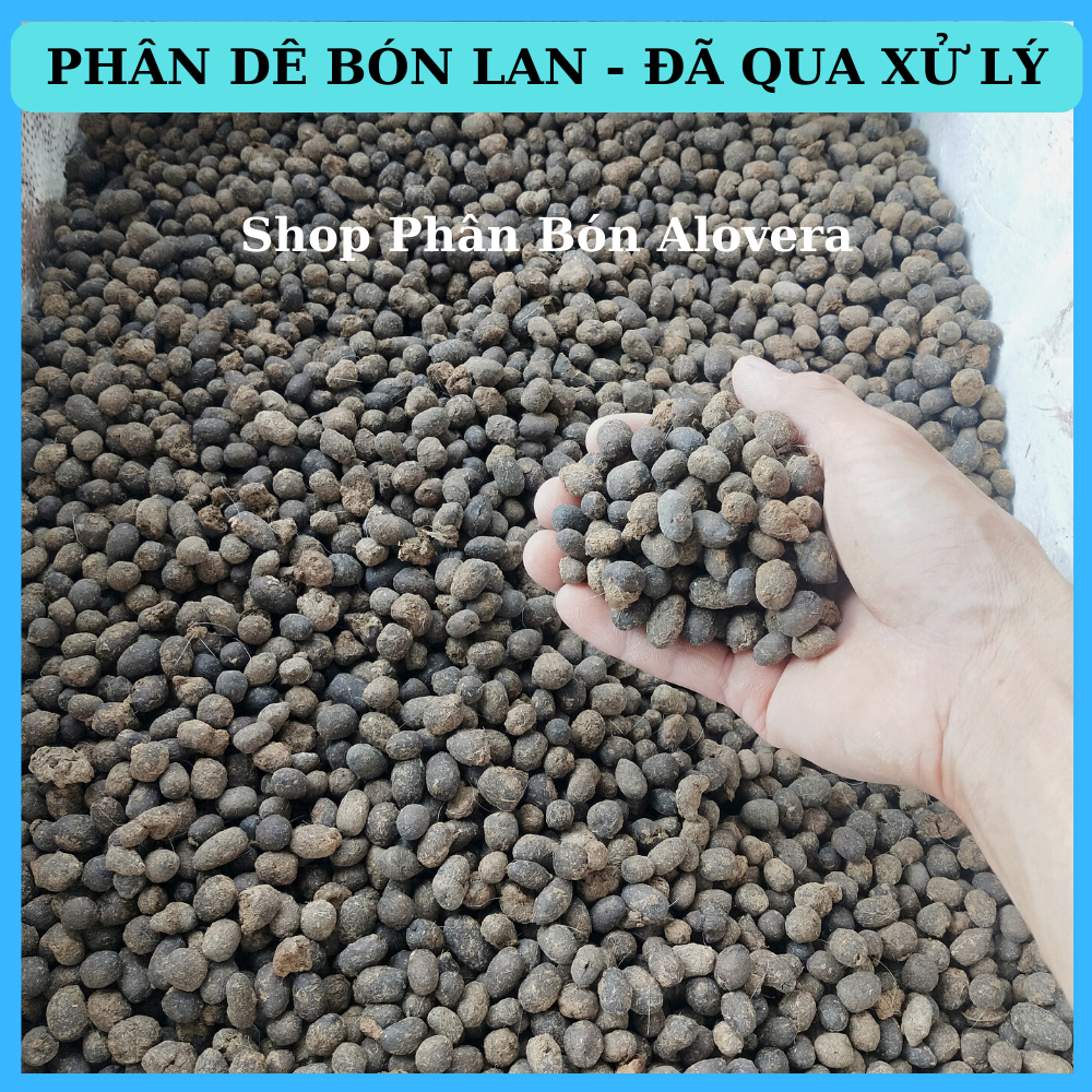 Phân dê đã qua xử lý bón cho các loại phong lan, rau sạch, cây kiểng