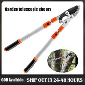 Telescopic Garden Tree Pruning Shears by Brand XYZ