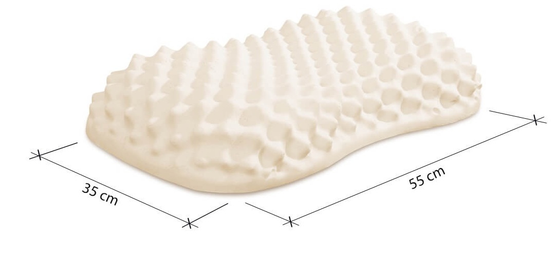 Gối cao su convoluted peanut liên á 35x55