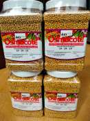 Osmocote 14-14-14 Slow Release Fertilizer - 500g Jar