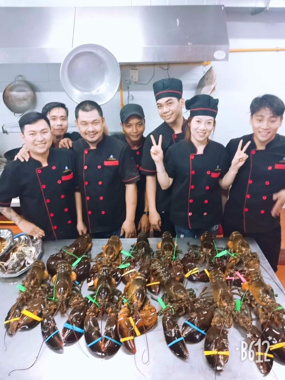 [HCM]Áo đầu bếp Áo bếp màu đen Áo đồng phục đầu bếp Áo bếp trưởng Áo bếp trưởng màu đen Áo bếp vải tốt