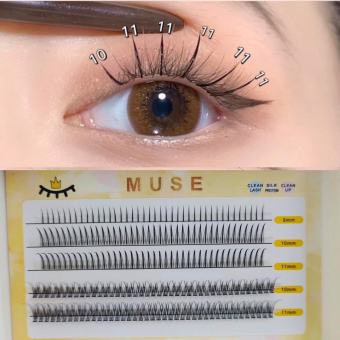 Lông mi rời MUSE N01, N02, N03 Lông mi giả thiên thần hình chữ A, mi giả tự nhiên