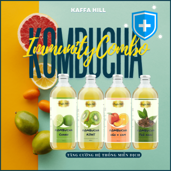 Combo Trà Kombucha Tăng Cường Miễn Dich- Dứa/ Xoài/ Chanh Dây/ Lựu - 04 Chai x 500ml - Kaffa Hill