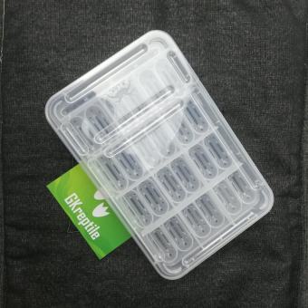 Hộp ấp trứng bò sát , hộp ấp , rồng úc , leopard gecko ....